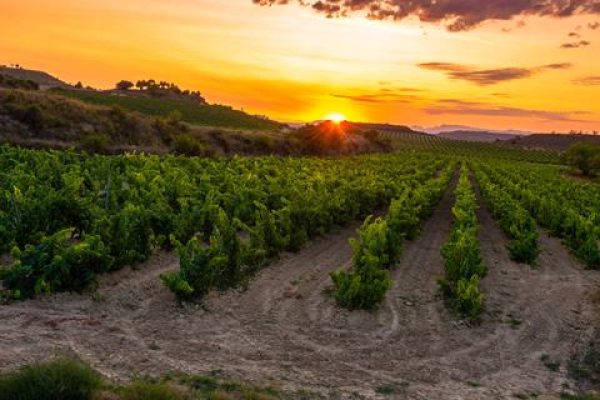 8-daagse rondreis Baskenland & La Rioja